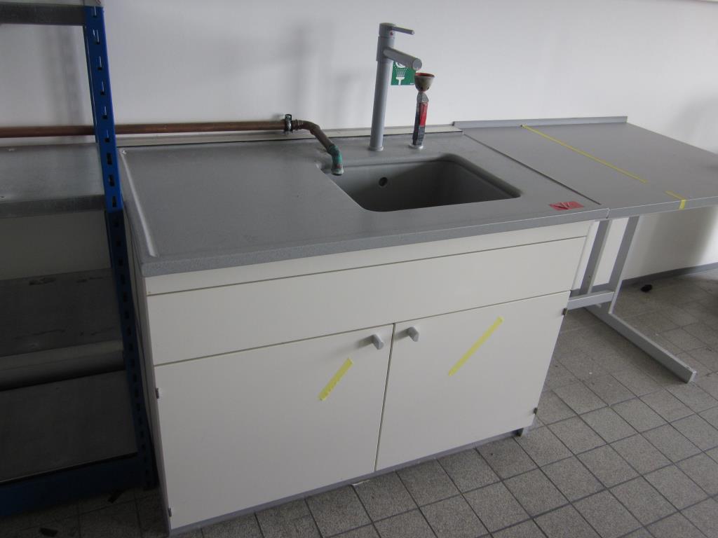 Used laboratory sink for Sale (Auction Premium) | NetBid Industrial Auctions