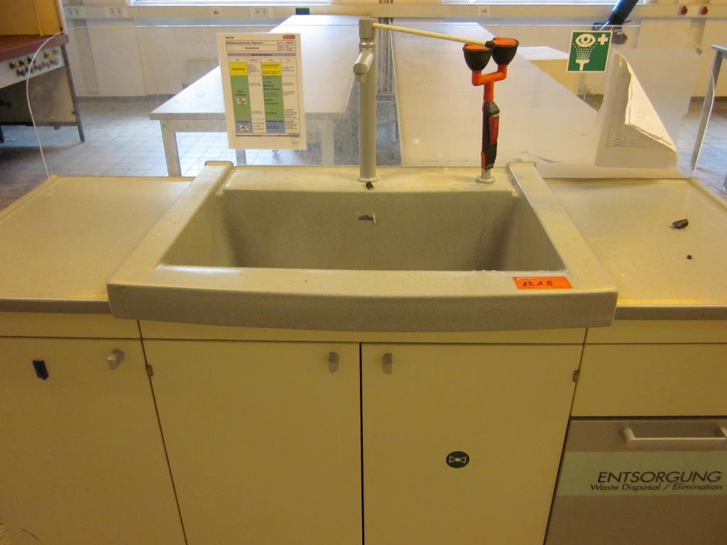 Used Waldner 
laboratory sink for Sale (Auction Premium) | NetBid Industrial Auctions