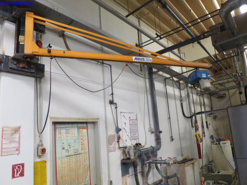 Used Abus Wall-mounted slewing crane for Sale (Auction Premium) | NetBid Industrial Auctions