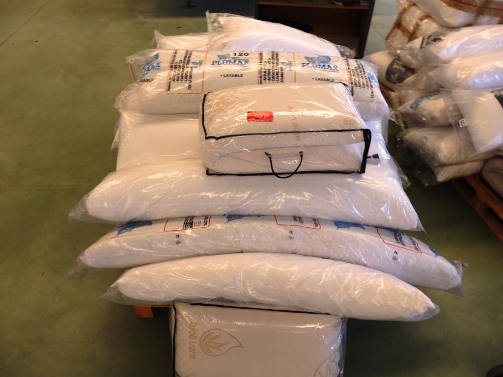 Used Hollow fibre pillows for Sale (Auction Premium) | NetBid Industrial Auctions