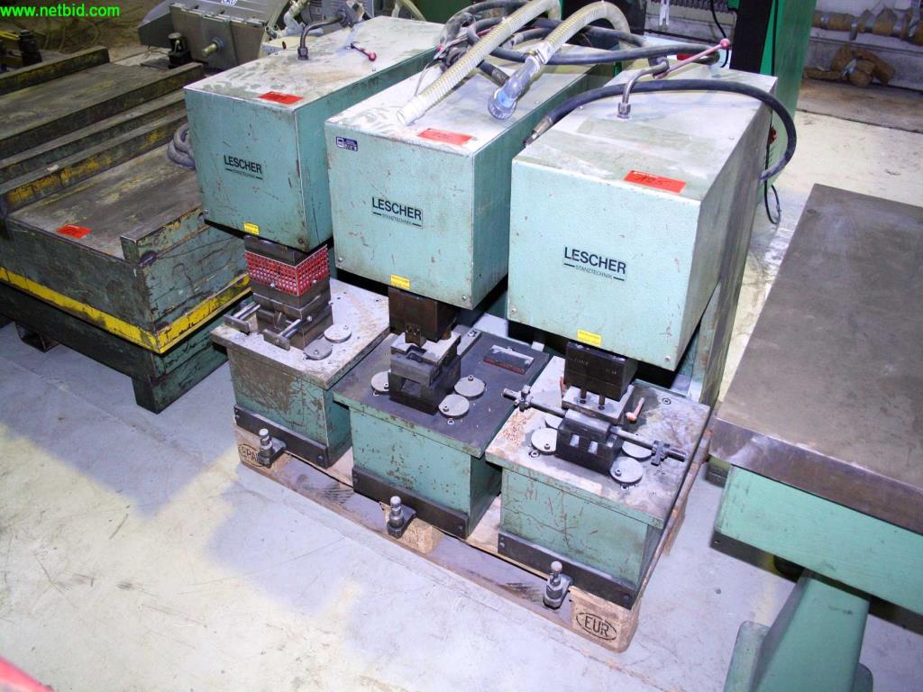 Used Lescher Stanztechnik Punch for Sale (Auction Premium) | NetBid Industrial Auctions