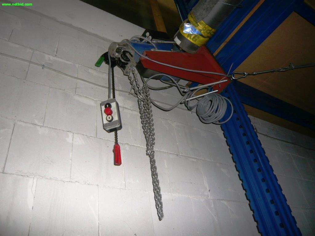 Used Electric chain hoist for Sale (Auction Premium) | NetBid Industrial Auctions