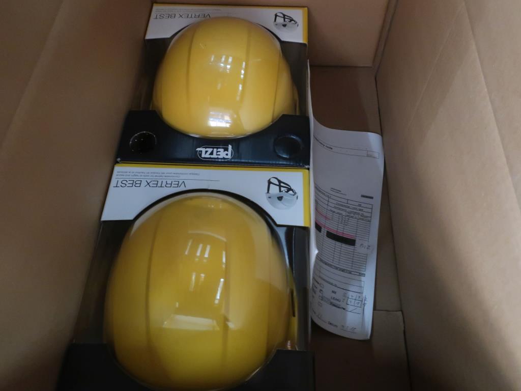 Used Petzl Vertex Bes 4 Varnostne čelade for Sale (Auction Premium) | NetBid Slovenija