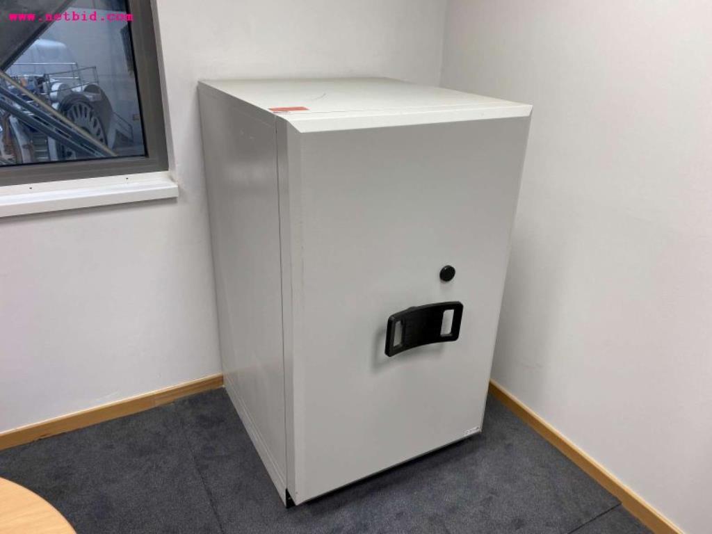 Used Data storage cabinet for Sale (Online Auction) | NetBid Industrial Auctions