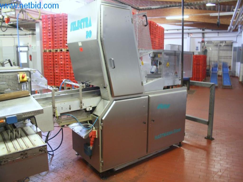 Used GHD Georg Hartmann Hartmann-Slicer SL/30 Sistem za rezanje for Sale (Online Auction) | NetBid Slovenija