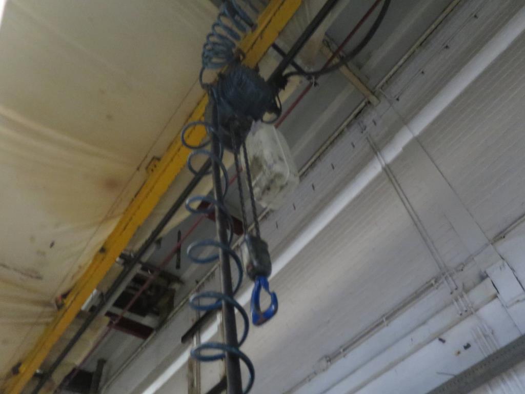 Used Demag electr. chain hoist for Sale (Auction Premium) | NetBid Industrial Auctions