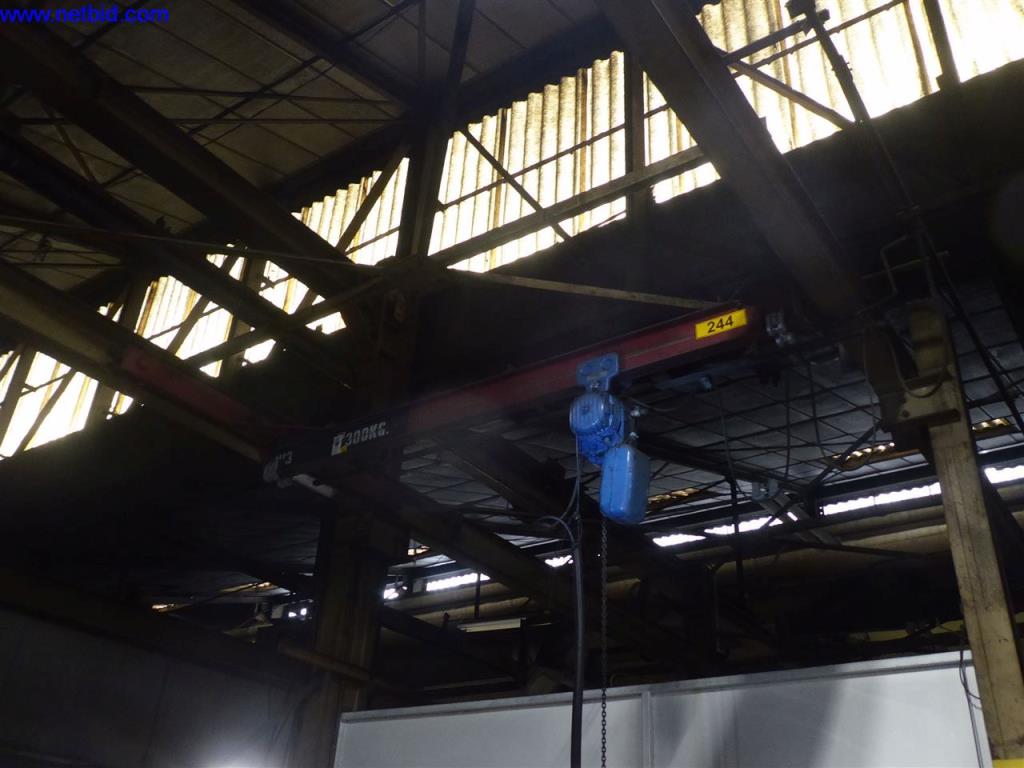 Used Demag Electric chain hoist (244) for Sale (Online Auction) | NetBid Industrial Auctions