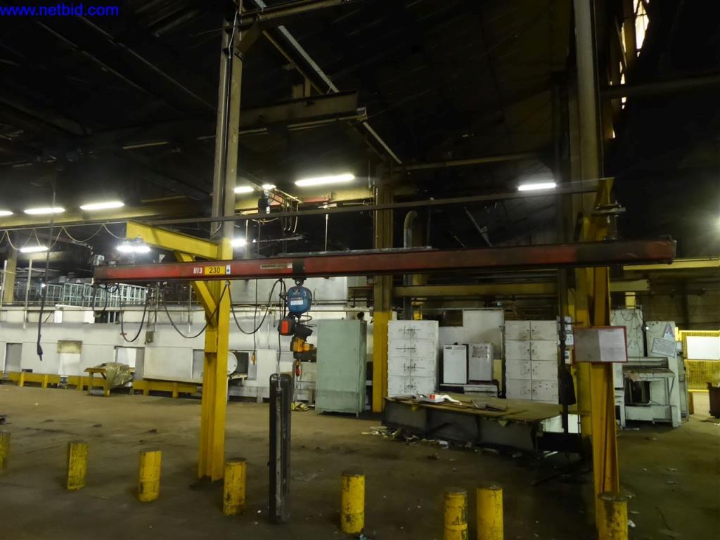 Demag Elektro-Kettenzug (230) gebraucht kaufen (Online Auction) | NetBid Industrie-Auktionen