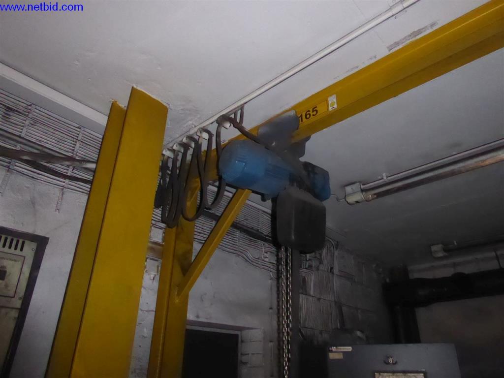 Used Demag Electric chain hoist (165) for Sale (Online Auction) | NetBid Industrial Auctions