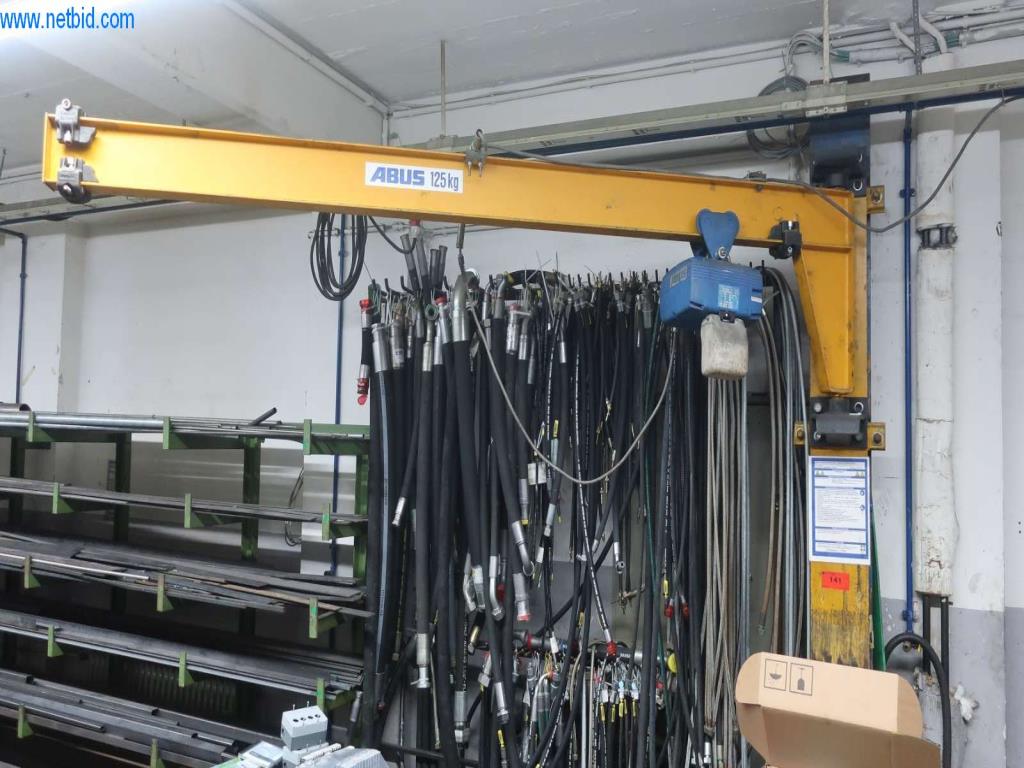 Used Abus wall-mounted slewing crane for Sale (Auction Premium) | NetBid Industrial Auctions