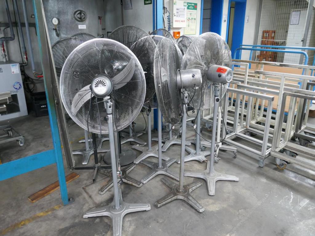 Used 13 Pedestal fans for Sale (Auction Premium) | NetBid Industrial Auctions