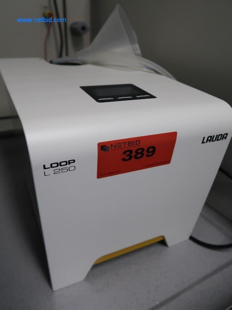 Lauda Loop L250 Circulation Thermostat gebraucht kaufen (Auction Premium) | NetBid Industrie-Auktionen