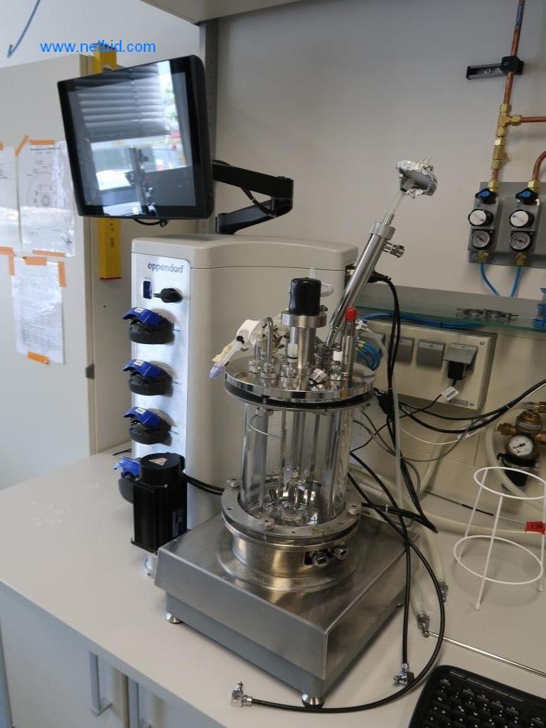 EPPENDORF Bio Flo 320 Bioreactor gebraucht kaufen (Auction Premium) | NetBid Industrie-Auktionen