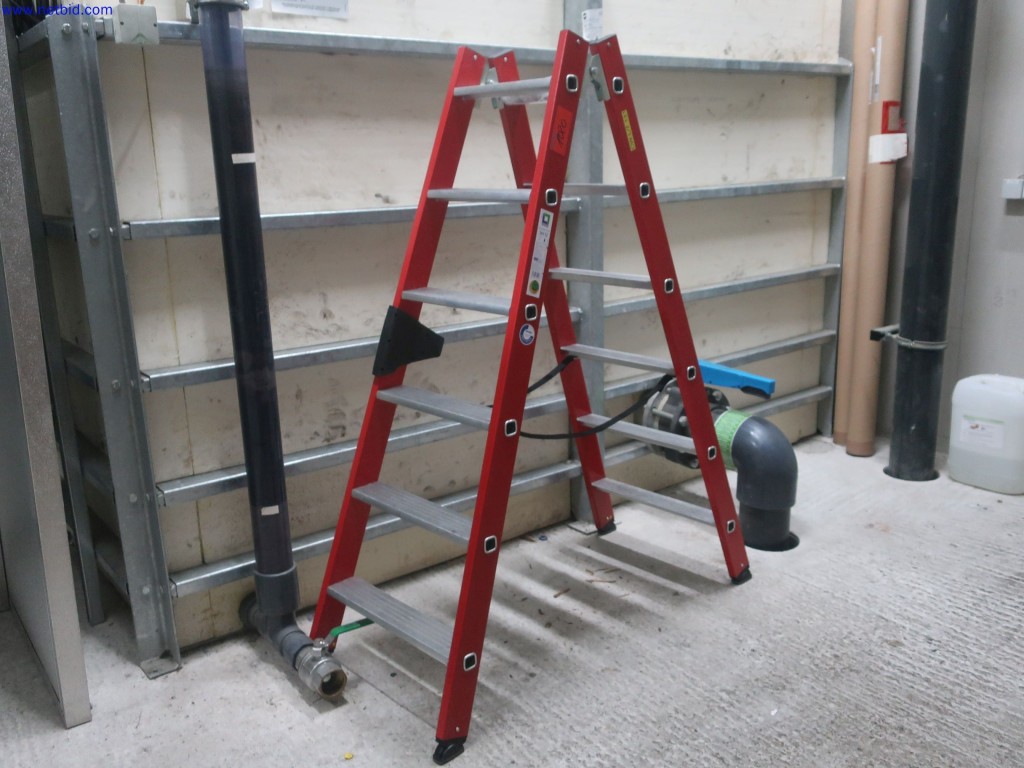 Used GÜNZBURGER Aluminum stepladder for Sale (Auction Premium) | NetBid Industrial Auctions