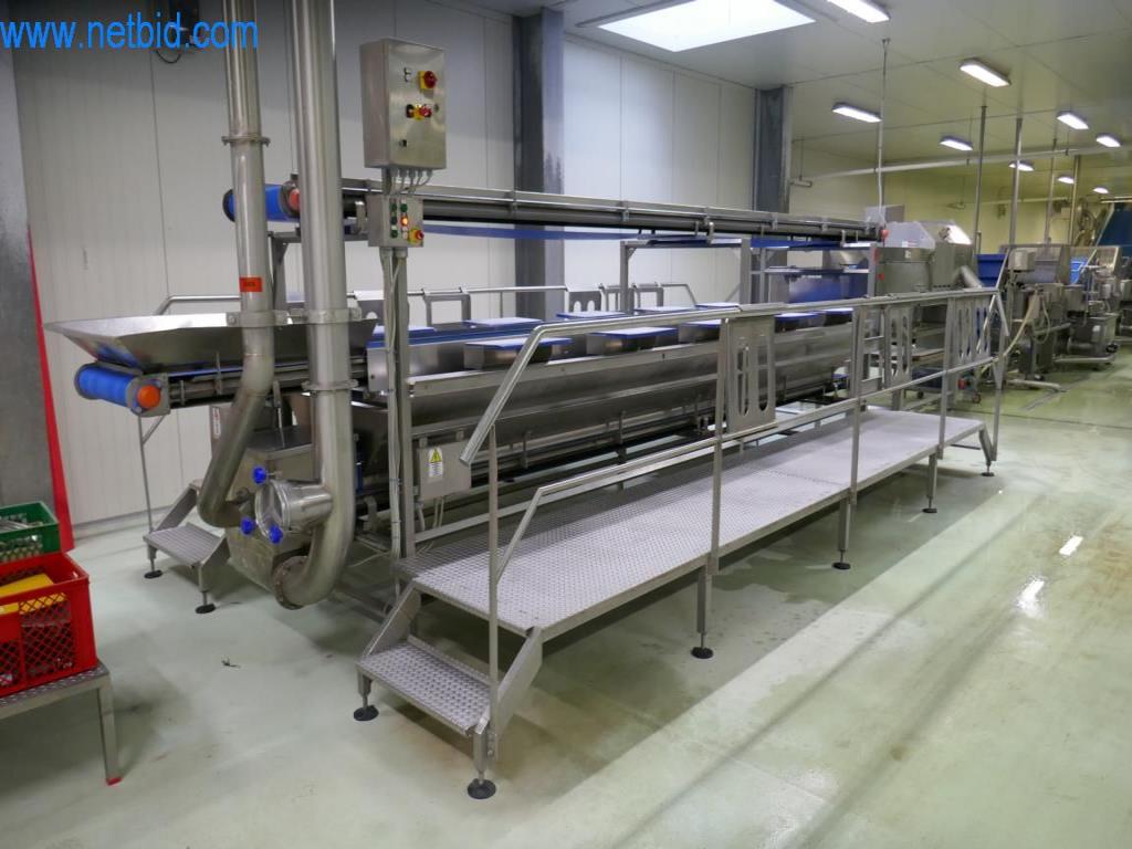 Used Lettuce washing line (3) for Sale (Online Auction) | NetBid Slovenija