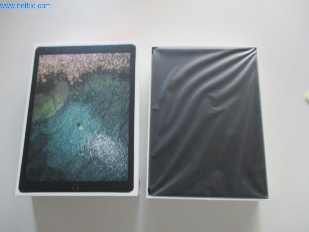 Used Apple iPad Pro 12.9 Tablet PC for Sale (Auction Premium) | NetBid Slovenija