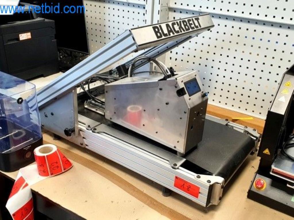 Blackbelt 3D Tischversion 3D-printer gebruikt kopen (Trading Premium) | NetBid industriële Veilingen