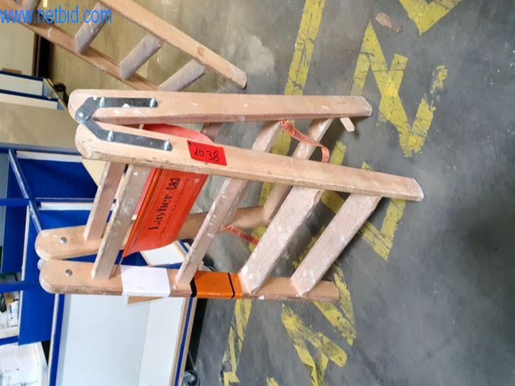 Used Layher Wooden stepladder for Sale (Auction Premium) | NetBid Slovenija