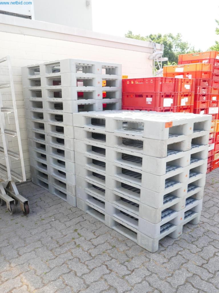 Used H1 23 Plastic pallets for Sale (Auction Premium) | NetBid Slovenija