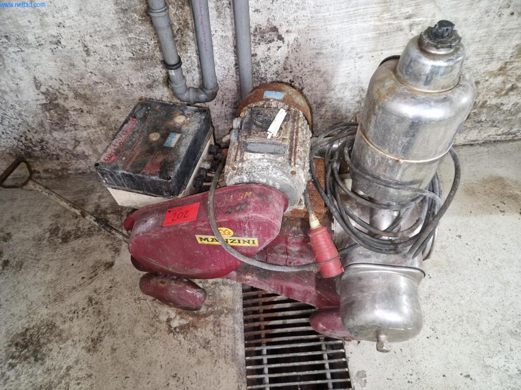 Used Manzini Pump for Sale (Auction Premium) | NetBid Slovenija