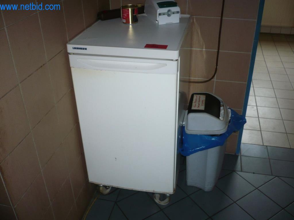 Used Liebherr Refrigerator for Sale (Auction Premium) | NetBid Slovenija