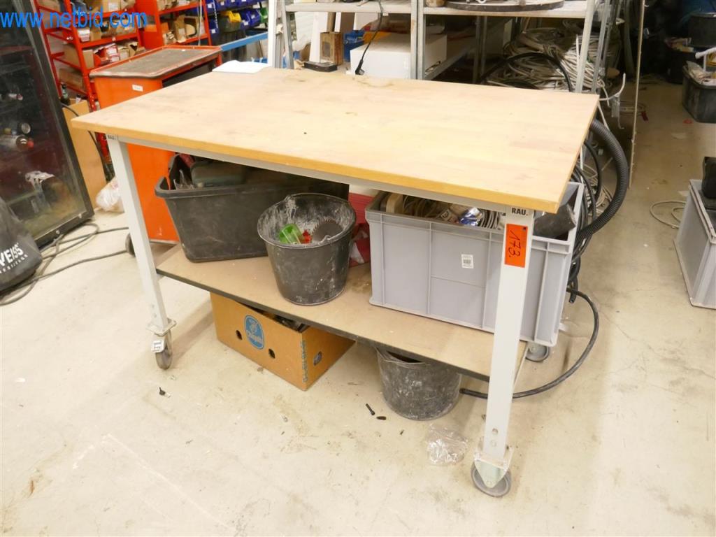 Used Rau Work table for Sale (Auction Premium) | NetBid Slovenija