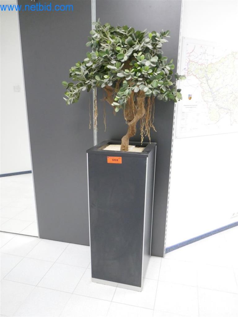 Used 2 Artificial plants for Sale (Auction Premium) | NetBid Slovenija