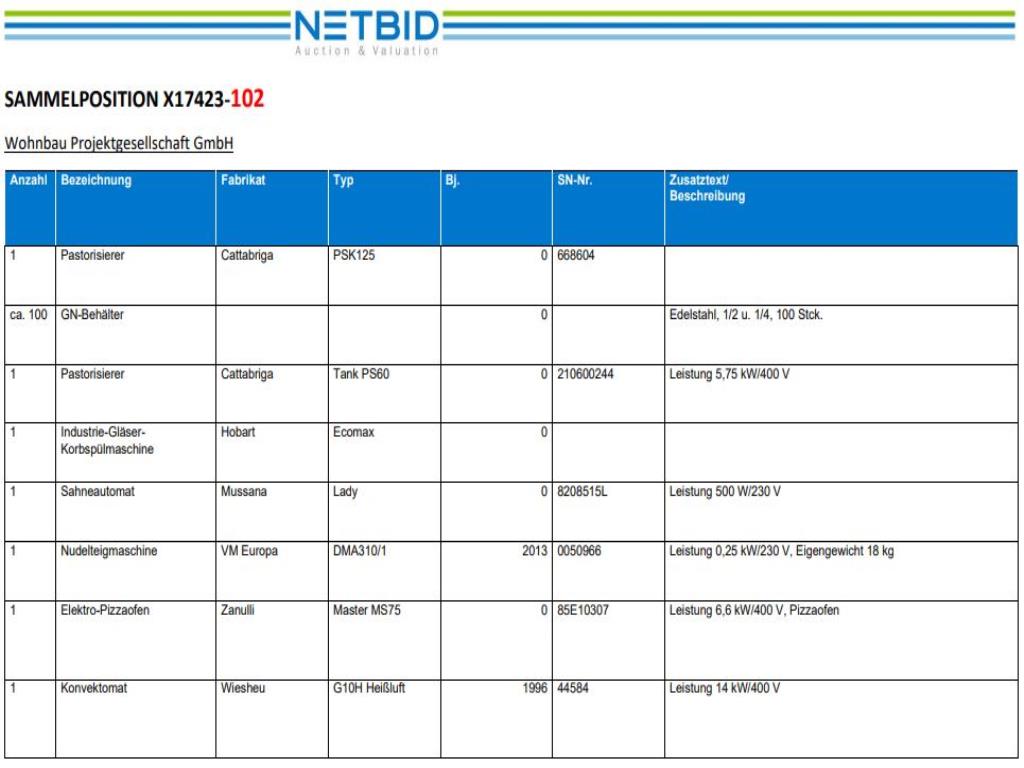 Collective item (Auction Premium) | NetBid España