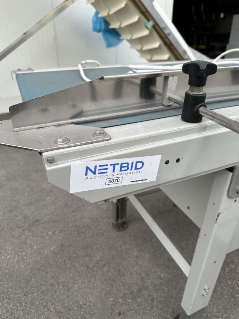 Used Inspection conveyor for Sale (Auction Premium) | NetBid Industrial Auctions
