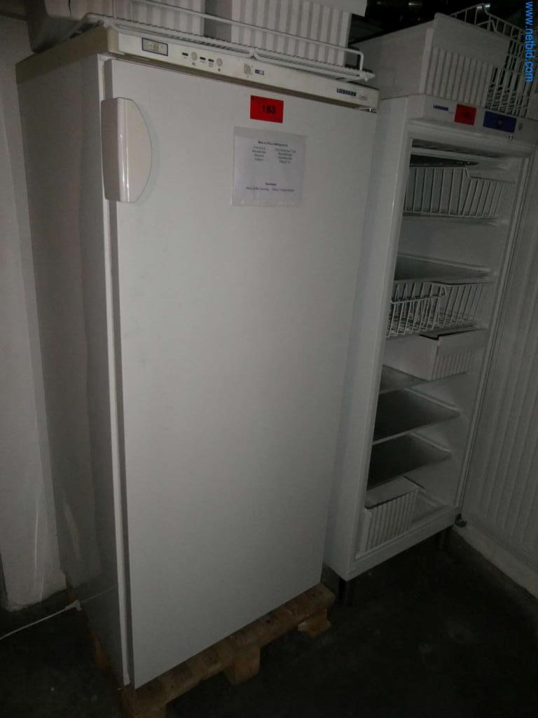 Used Liebherr Comfort Freezer for Sale (Auction Premium) | NetBid Industrial Auctions