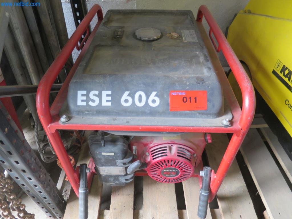 Endress ESE606DHG-GT Duplex Stromerzeuger gebraucht kaufen (Auction Premium) | NetBid Industrie-Auktionen