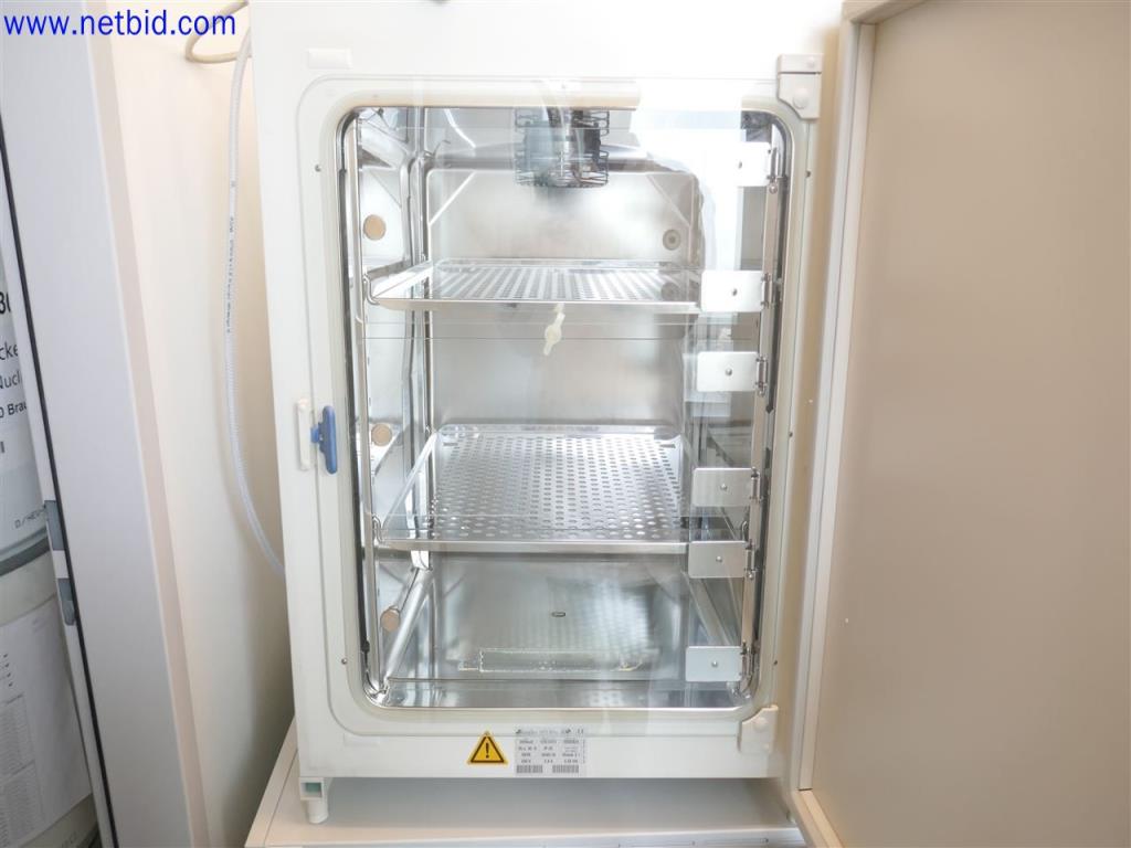 Heraeus Hera Cell Broedmachine gebruikt kopen (Auction Premium) | NetBid industriële Veilingen