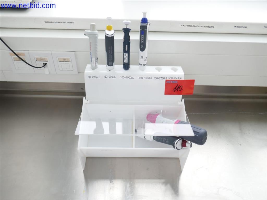 Used Brand 2 Pipettes for Sale (Auction Premium) | NetBid Industrial Auctions