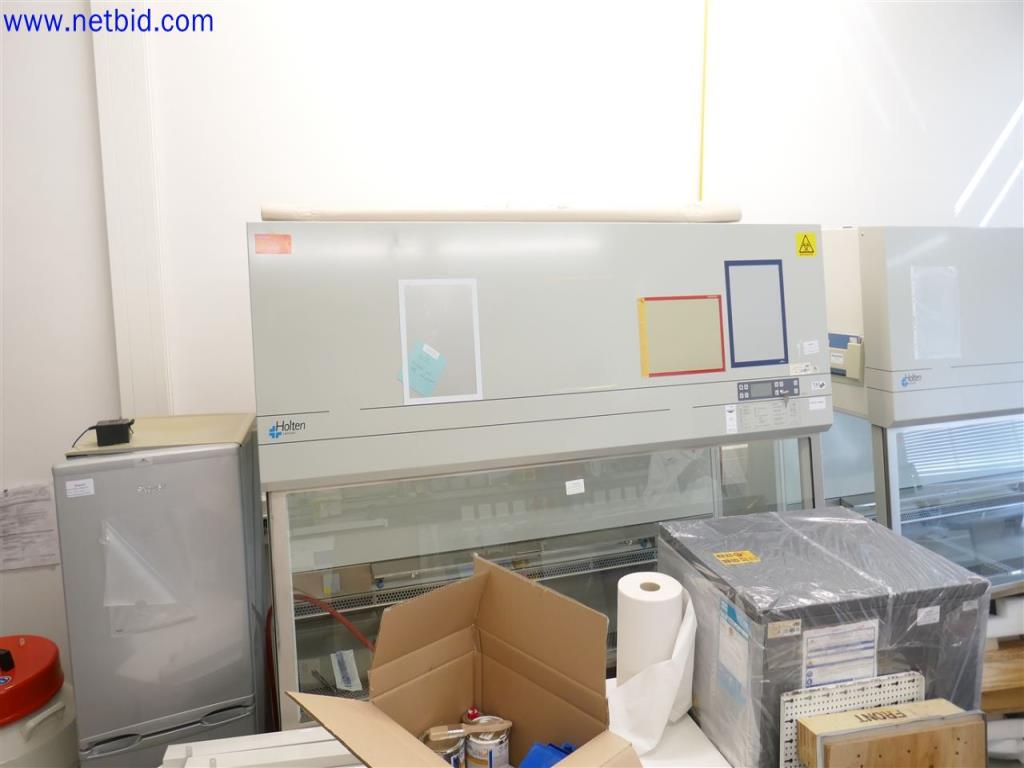 Used Holten S-2010 1.8 Safety cabinet for Sale (Auction Premium) | NetBid Industrial Auctions