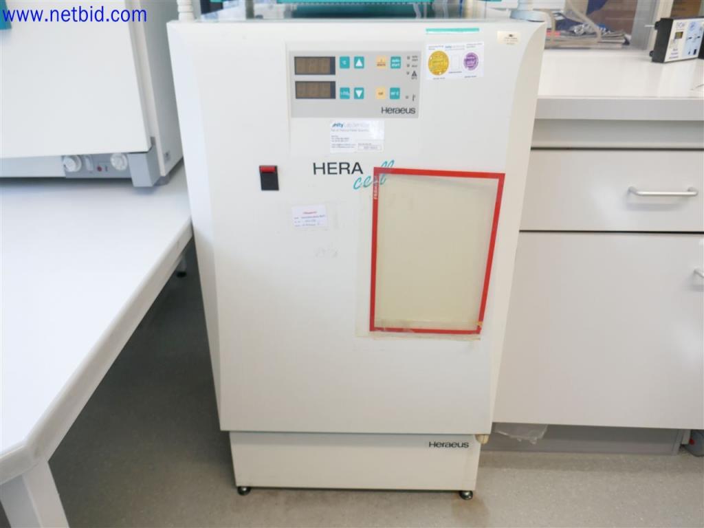 Used Heraeus Heracell Incubator for Sale (Auction Premium) | NetBid Industrial Auctions