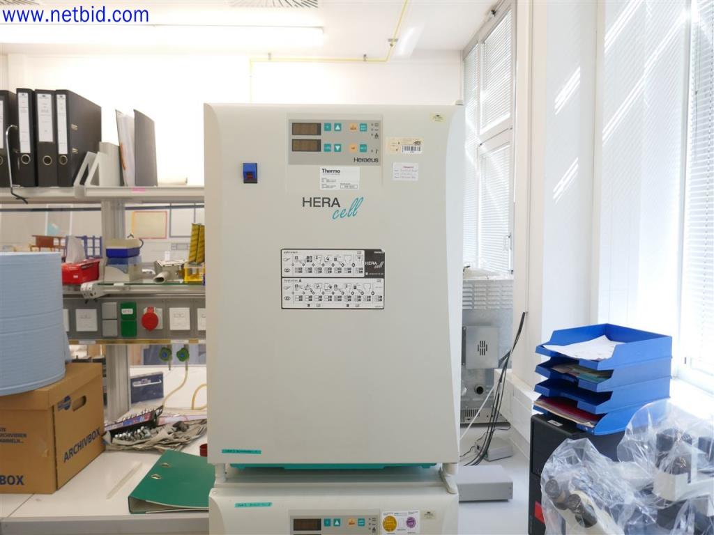 Used Heraeus Heracell Inkubator for Sale (Auction Premium) | NetBid Slovenija