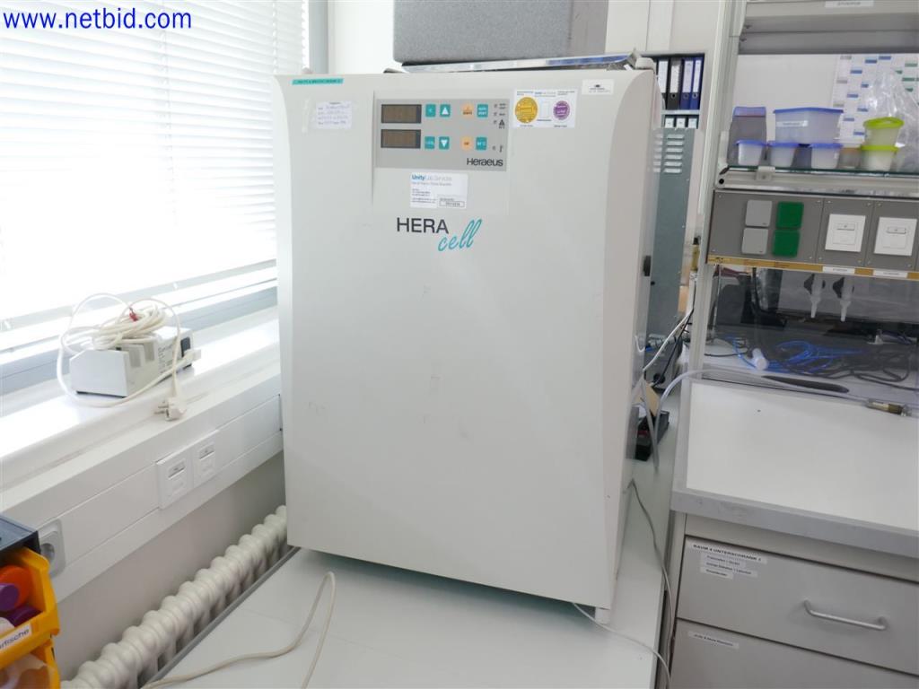 Used Heraeus Heracell Incubator for Sale (Auction Premium) | NetBid Industrial Auctions