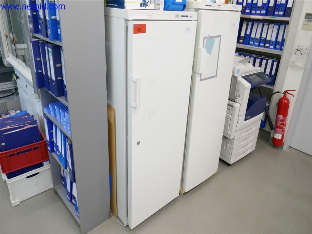 Used Liebherr Profiline Refrigerator for Sale (Auction Premium) | NetBid Industrial Auctions