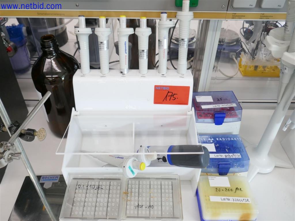 EPPENDORF 17 Zähl- Pipetten gebraucht kaufen (Auction Premium) | NetBid Industrie-Auktionen