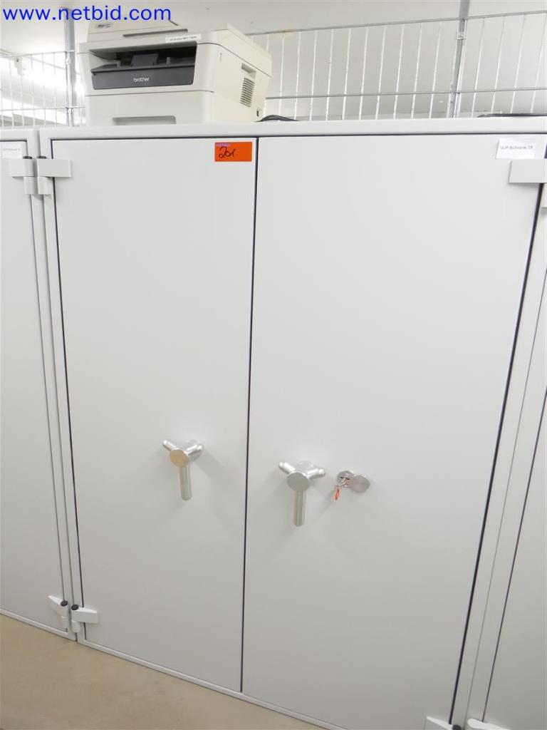 Used Format Paper-Star Pro 6 Fire protection safe/ data security cabinet for Sale (Auction Premium) | NetBid Industrial Auctions