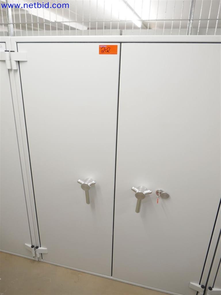 Used Format Paper-Star Pro 6 Fire protection safe/ data security cabinet for Sale (Auction Premium) | NetBid Industrial Auctions