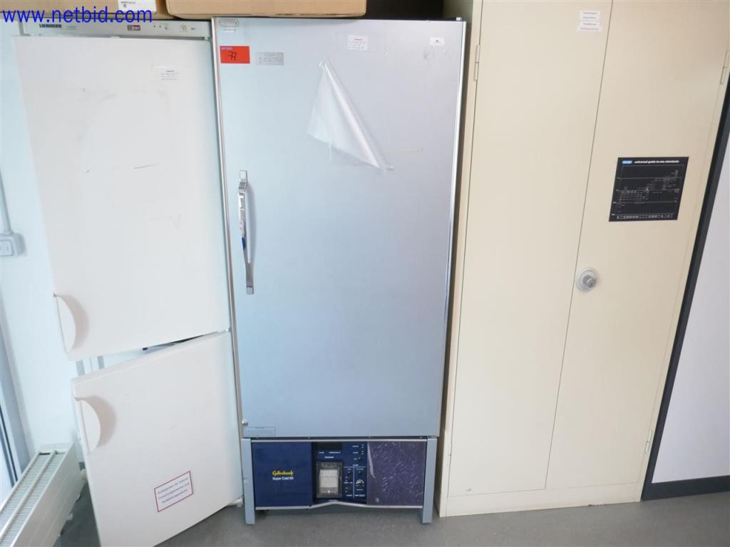 Gallenkamp Super Cold 85 Tiefkühlschrank gebraucht kaufen (Auction Premium) | NetBid Industrie-Auktionen