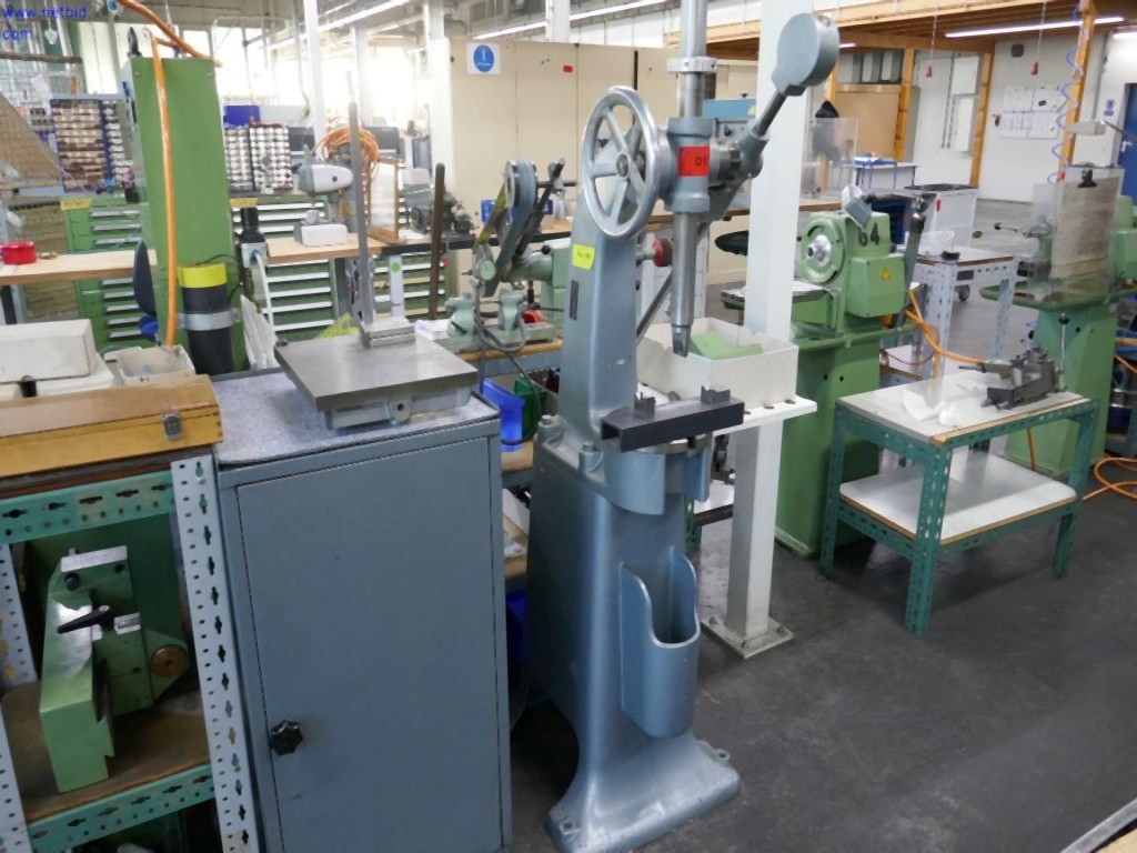 Used Hahn & Kolb Thorn press for Sale (Auction Premium) | NetBid Slovenija