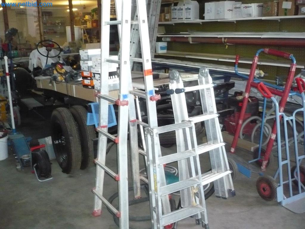 2 Aluminium telescopische ladders gebruikt kopen (Auction Premium) | NetBid industriële Veilingen