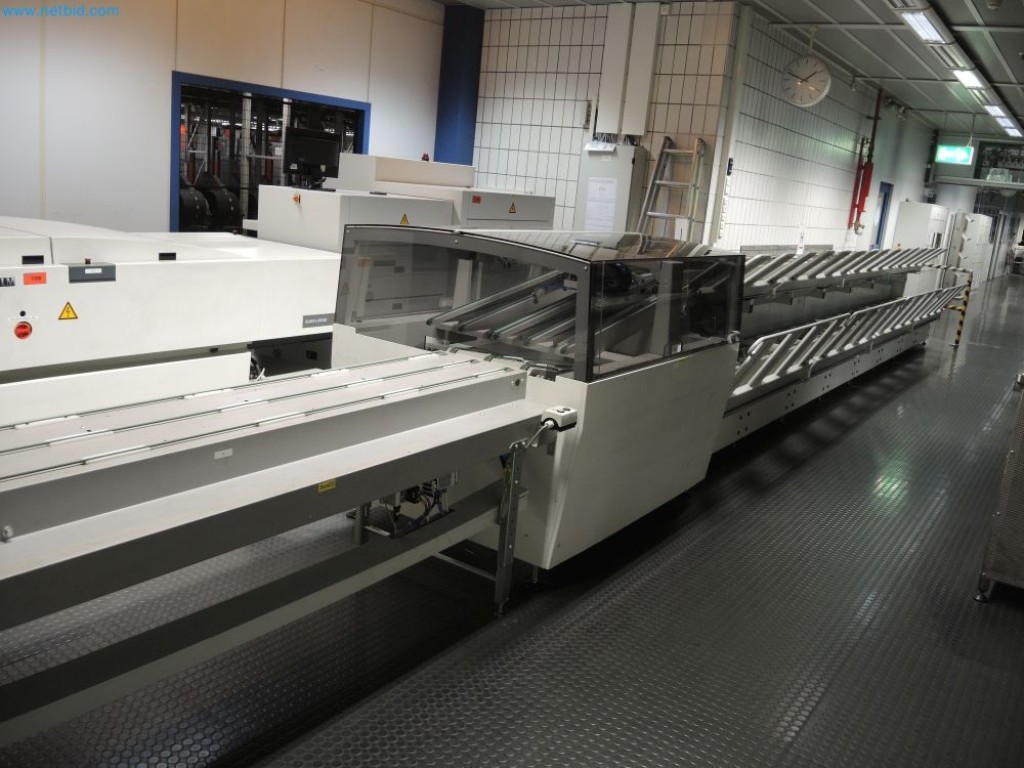 Used Nela Conveying and sorting line for Sale (Auction Premium) | NetBid Industrial Auctions