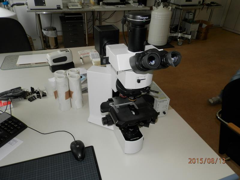 Olympus BX51TRF Mikroskop gebraucht kaufen (Trading Premium) | NetBid Industrie-Auktionen