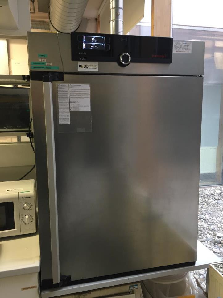 Memmert IPP 260 Cooled incubator (Trading Premium) | NetBid España