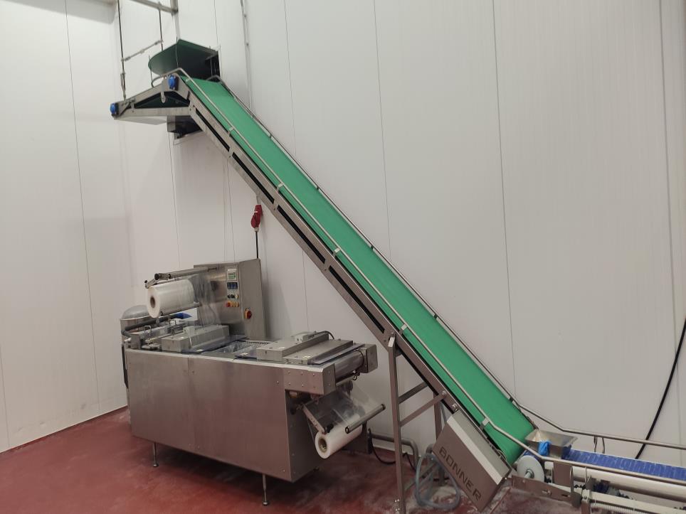 Used Bonner Boxes conveyor type 1 Conveyor system of boxes (2 pcs) for Sale (Auction Premium) | NetBid Slovenija